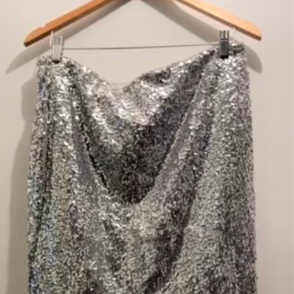 H&M Women's L Silver Sequin Skirt, Lined. New and Unworn.